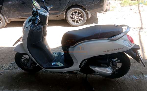 HONDA SCOOPY STYLISH