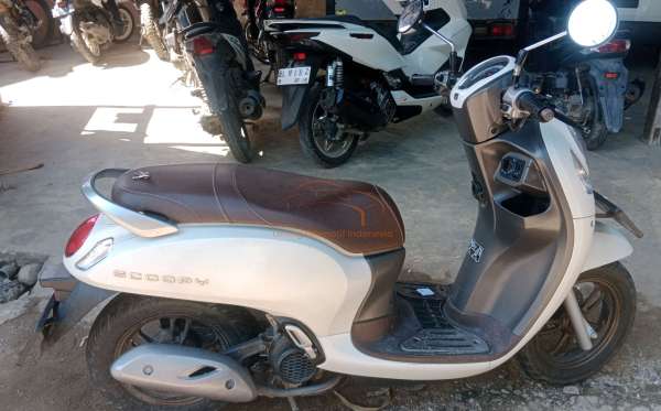 HONDA SCOOPY STYLISH