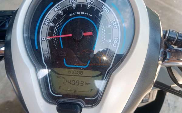 HONDA SCOOPY STYLISH