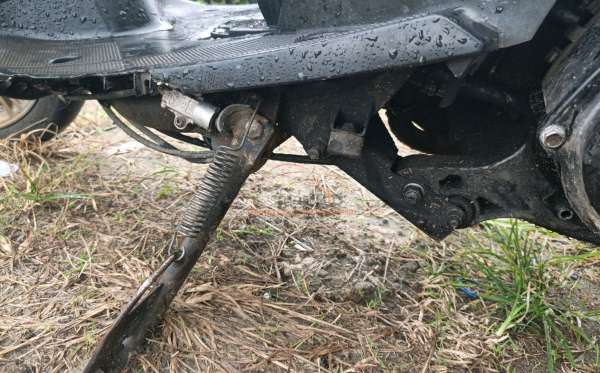 YAMAHA XEON