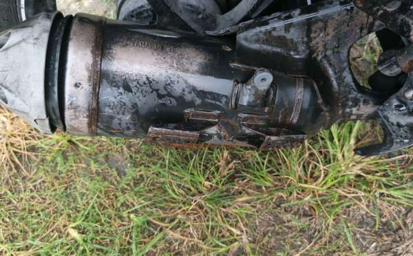 YAMAHA XEON