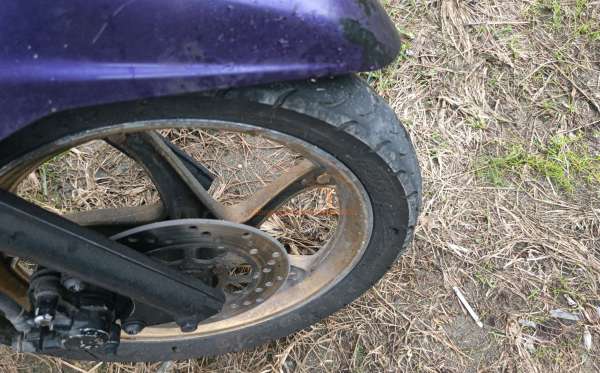 YAMAHA XEON
