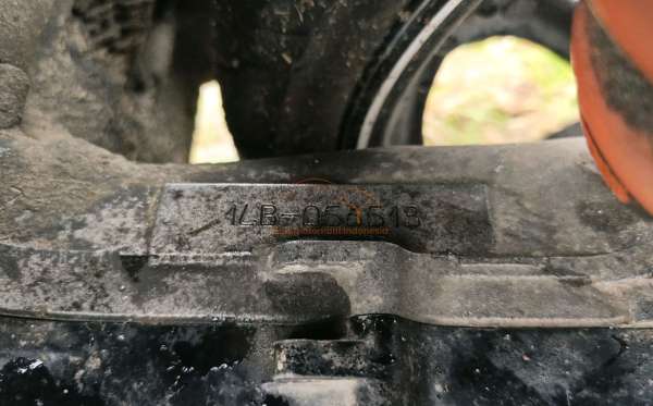 YAMAHA XEON