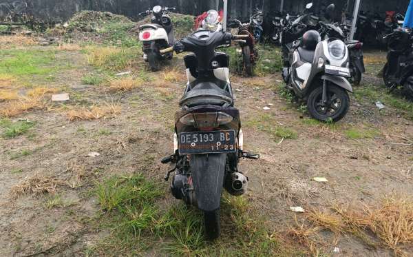 YAMAHA XEON