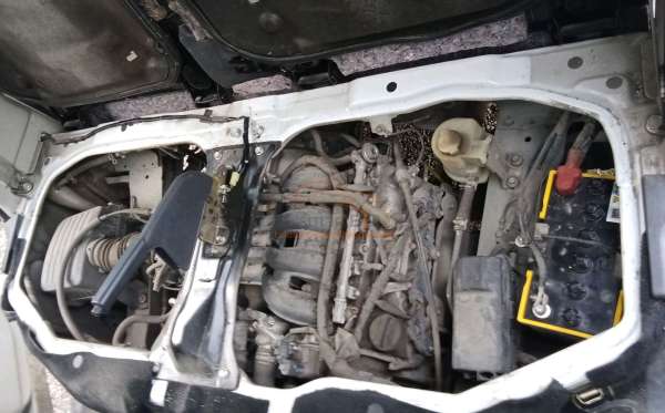 DAIHATSU LUXIO D