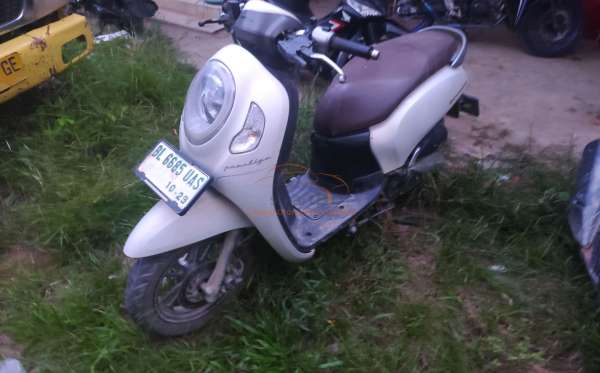 HONDA  SCOOPY