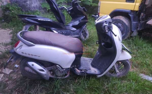 HONDA  SCOOPY