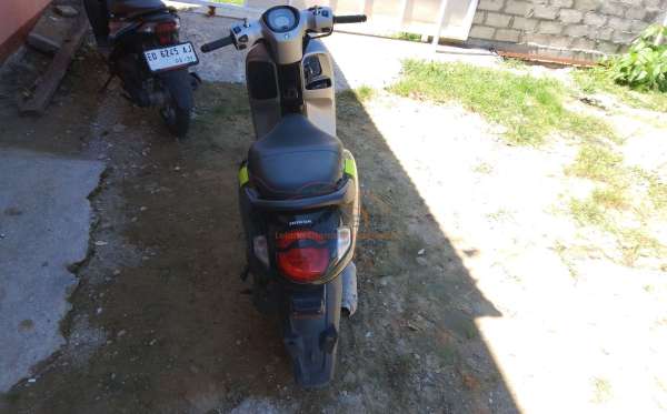 HONDA  SCOOPY