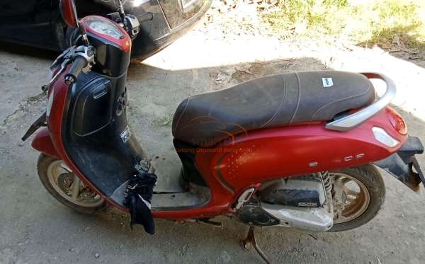 HONDA SCOOPY STYLISH