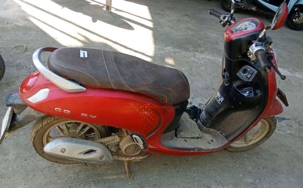 HONDA SCOOPY STYLISH