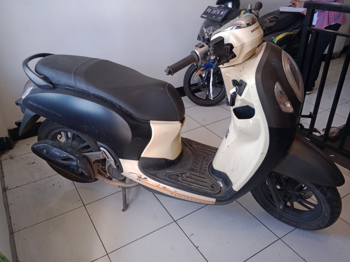 HONDA SCOOPY