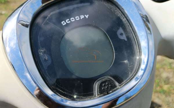 HONDA  SCOOPY