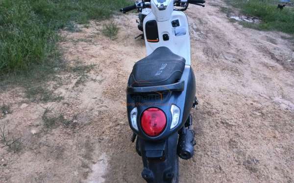 HONDA  SCOOPY