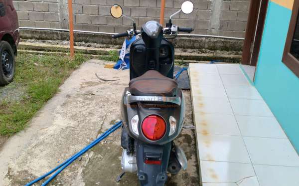 HONDA SCOOPY STYLISH