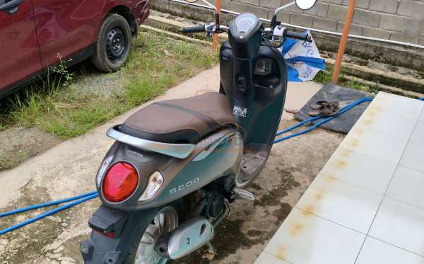 HONDA SCOOPY STYLISH
