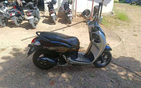 HONDA SCOOPY