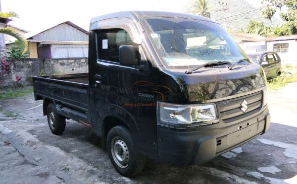 SUZUKI  CARRY  PU