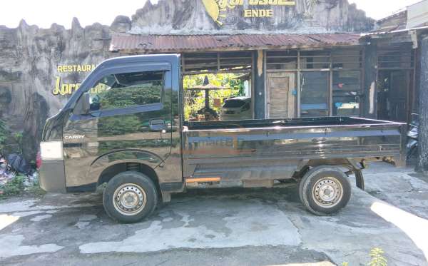 SUZUKI  CARRY  PU