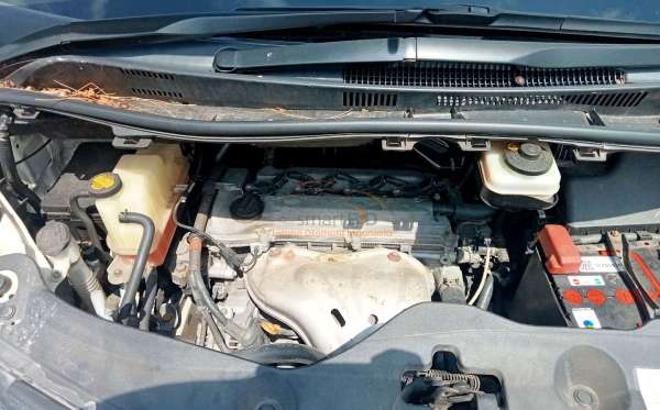 TOYOTA ALPHARD S 2.4