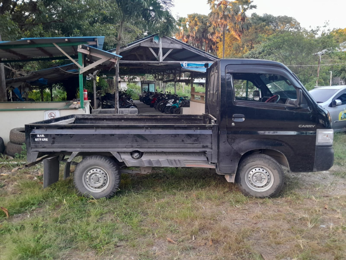 SUZUKI NEW CARRY - PU FD