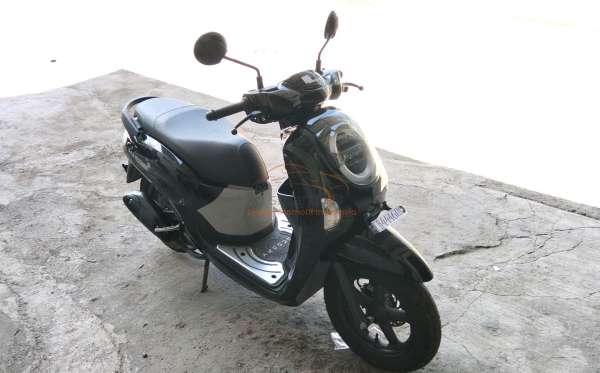HONDA  SCOOPY