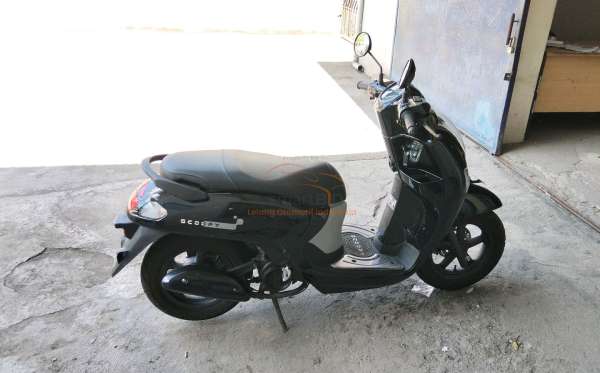 HONDA  SCOOPY