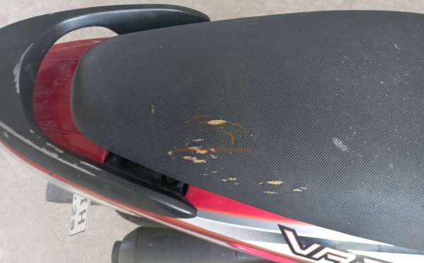 HONDA VARIO CW