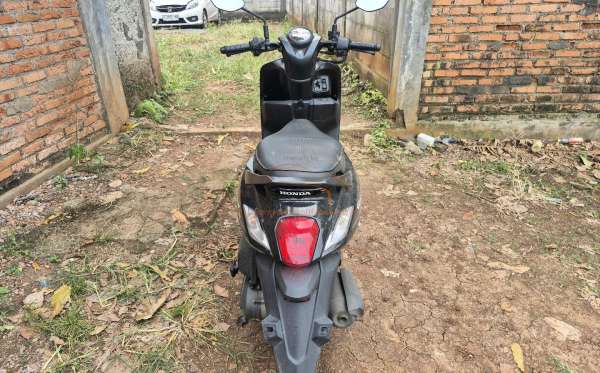 HONDA  GENIO