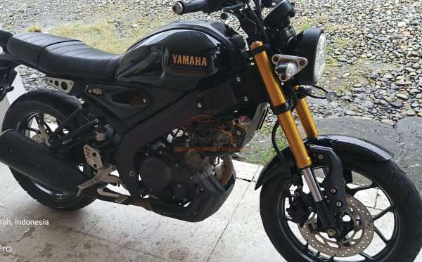 YAMAHA XSR 155