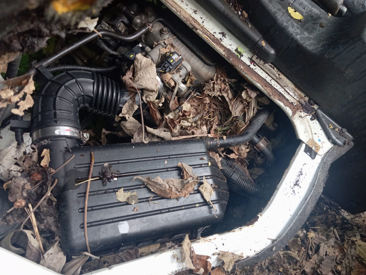 SUZUKI CARRY MEGA  P.U