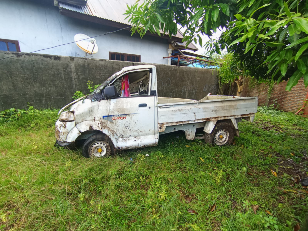 SUZUKI CARRY MEGA  P.U