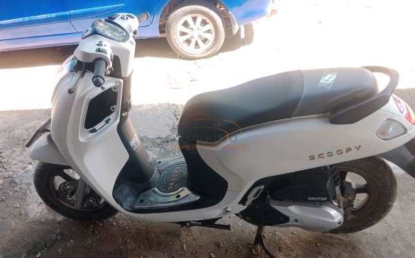 HONDA SCOOPY PRESTIGE