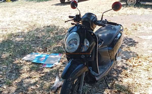 HONDA SCOOPY