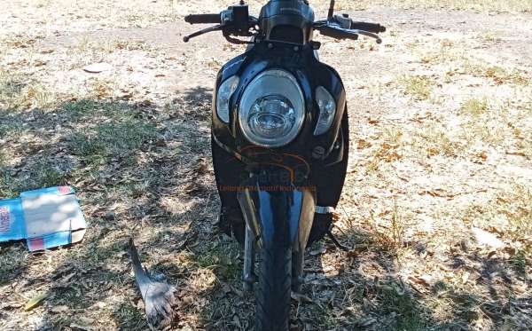 HONDA SCOOPY