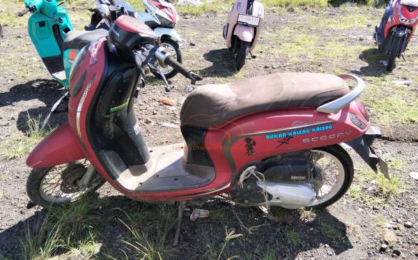 HONDA  SCOOPY