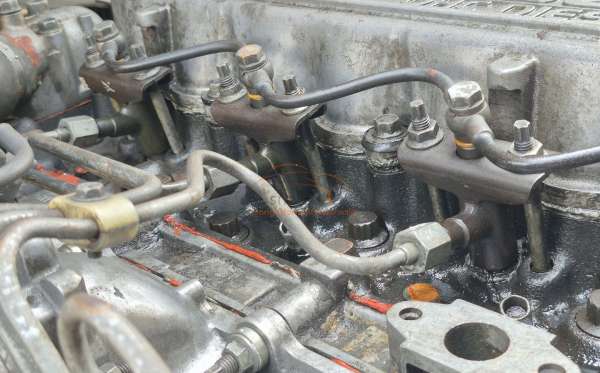 ISUZU  NMR 71 TSDL