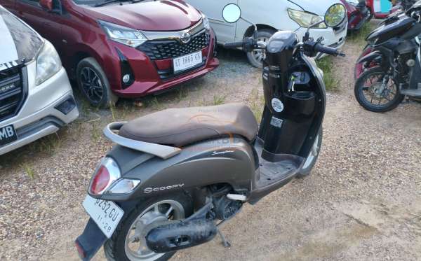 HONDA SCOOPY STYLISH