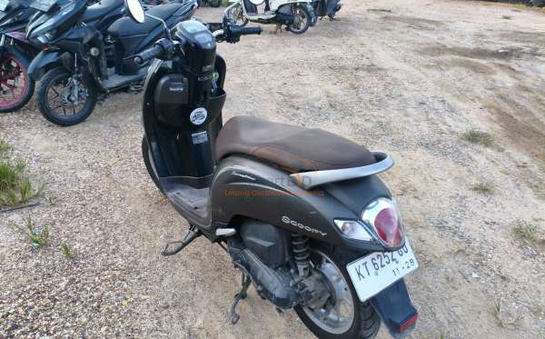 HONDA SCOOPY STYLISH
