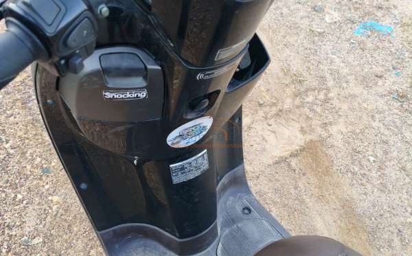 HONDA SCOOPY STYLISH