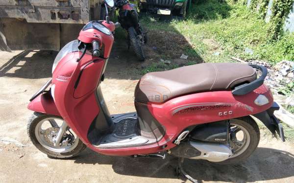 HONDA SCOOPY STYLISH
