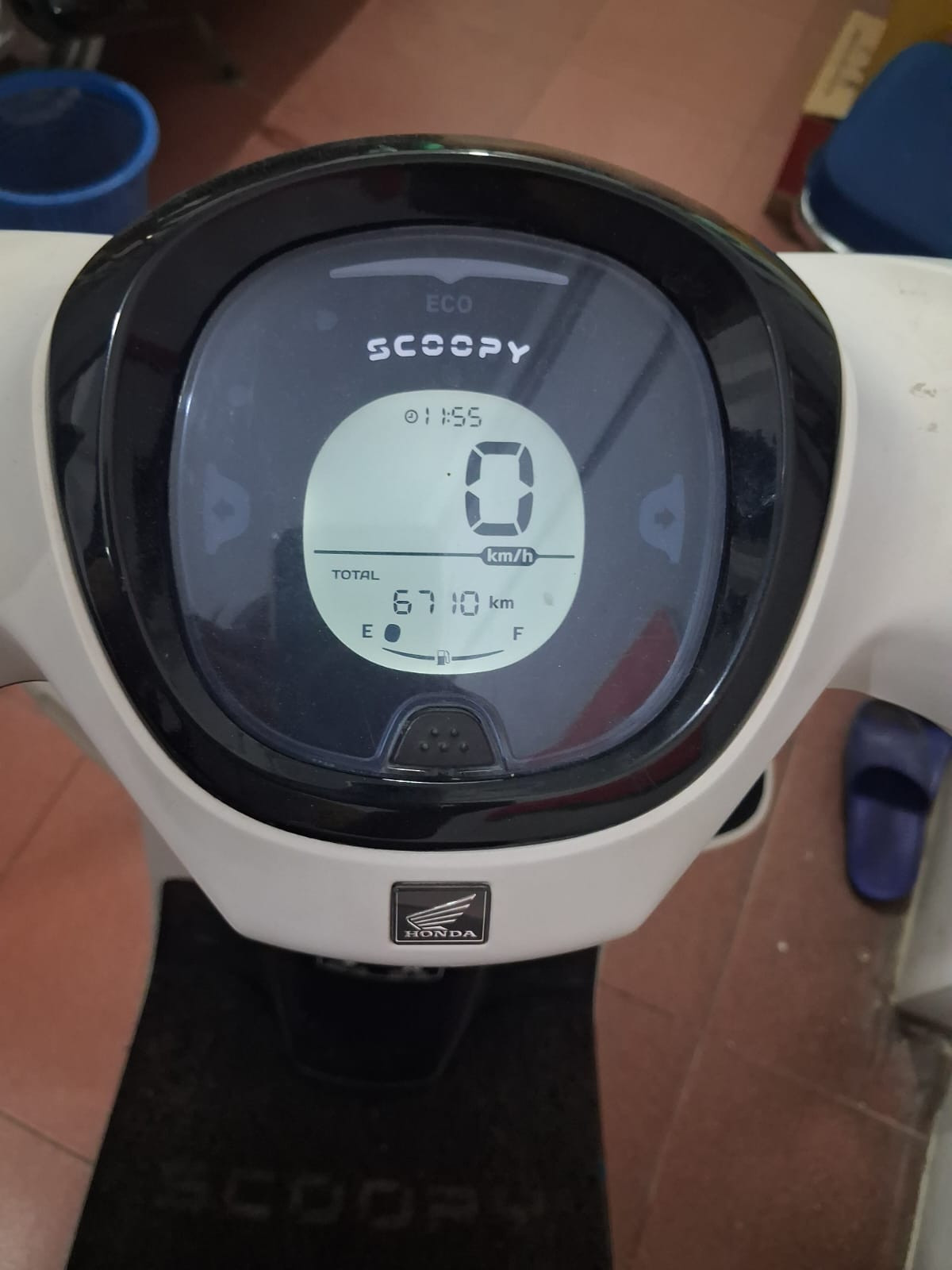 HONDA SCOOPY STYLISH
