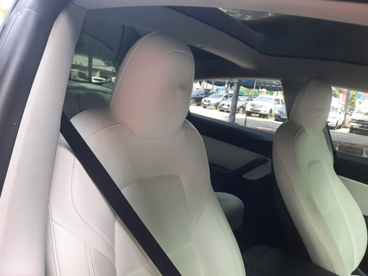 TESLA  TESLA 3