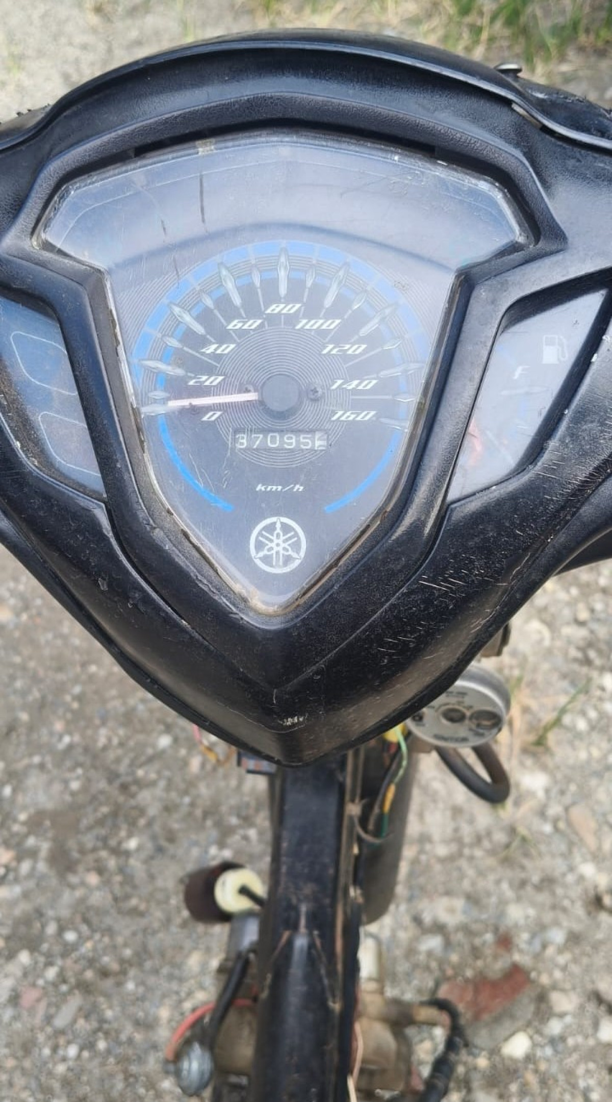 YAMAHA JUPITER Z