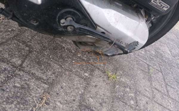 HONDA GENIO