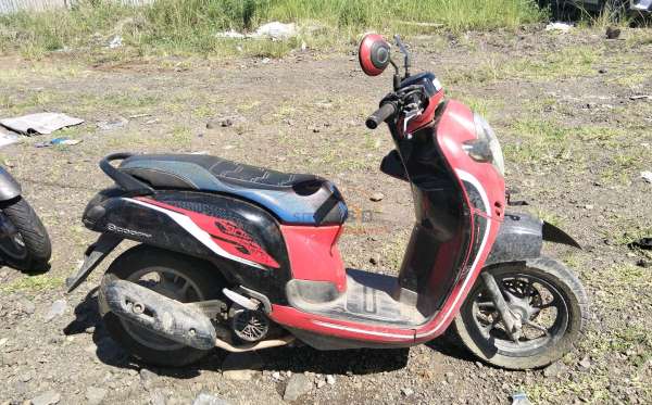 HONDA SCOOPY