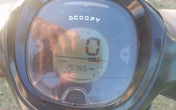 HONDA SCOOPY