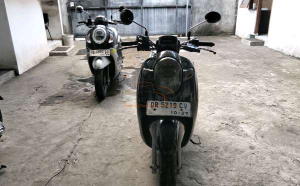 HONDA SCOOPY STYLISH
