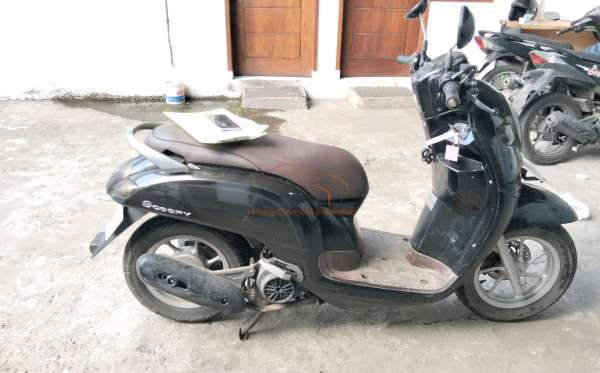 HONDA SCOOPY STYLISH