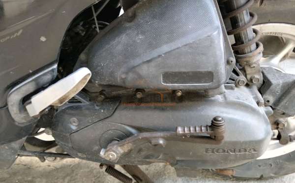 HONDA SCOOPY STYLISH