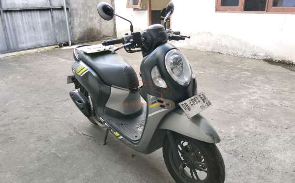 HONDA SCOOPY STYLISH
